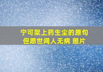 宁可架上药生尘的原句但愿世间人无病 图片